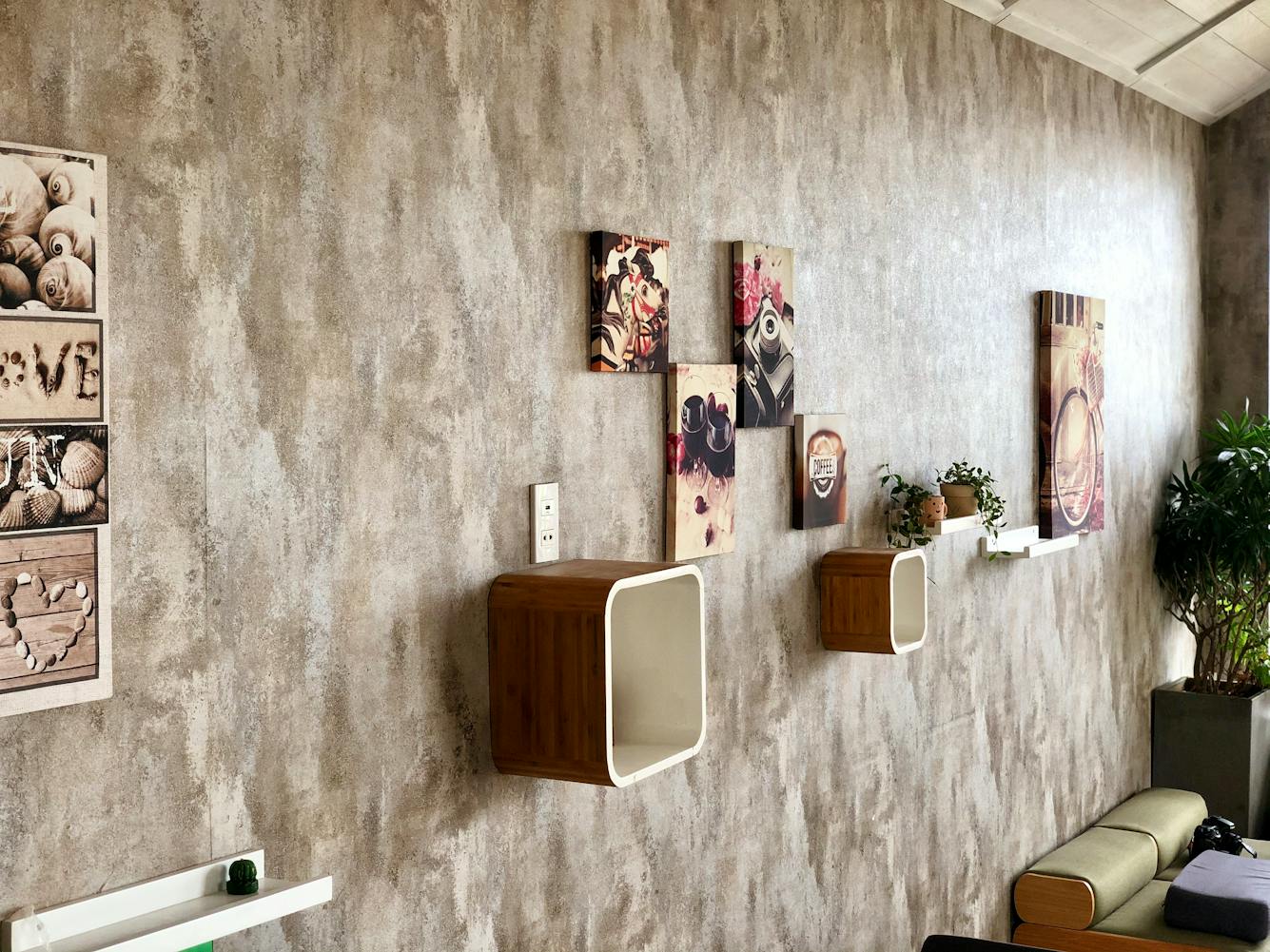 Pexels Photo 32100612